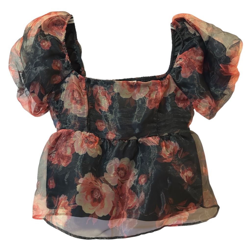 NWT THIRTY/THIRTY Crop Puff Sleeve Sheer floral Top (L)